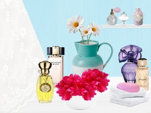 Perfumeria Olsztyn. Różne rodzaje zapachów i zaufane perfumerie. Woda toaletowa a woda kolońska